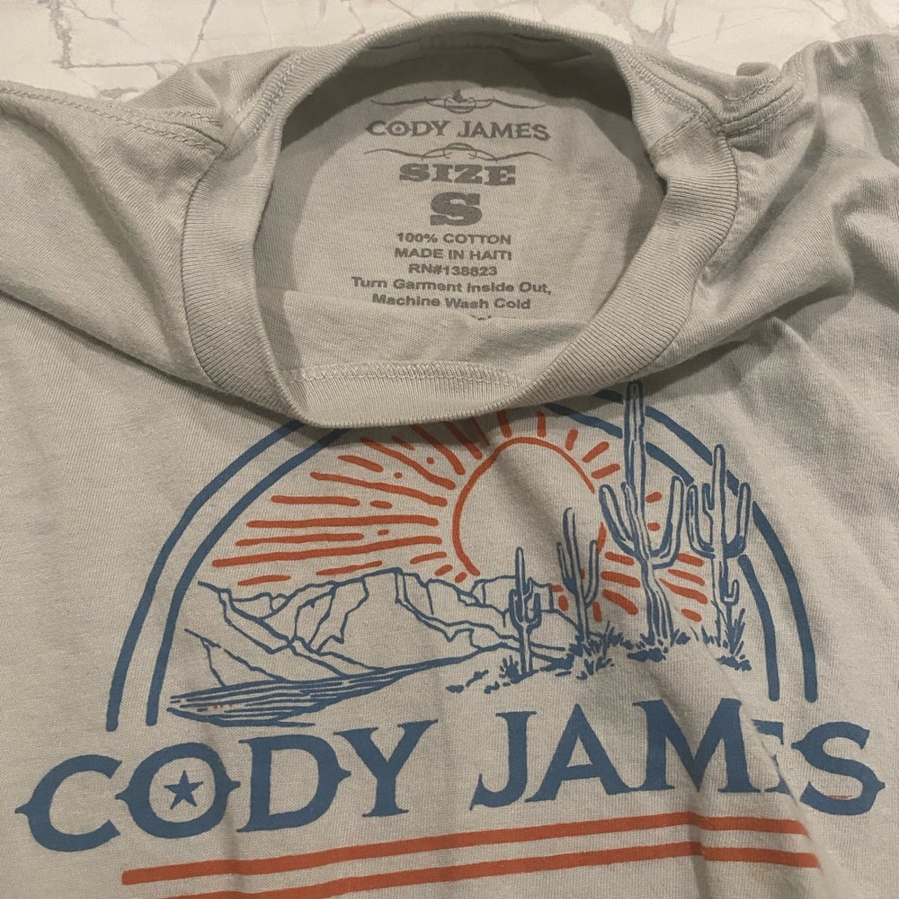 Boys Cody James Graphic Tee in Light Gray with Blue & Orange Desert Print